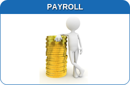Payroll and PAYE Returns